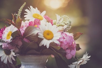 20066期足彩开奖结果揭晓:大奖花落谁家引关注 20066期足彩开奖结果揭晓:大奖花落谁家引关注