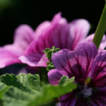 2007061期双色球开奖号码及结果查询 d13ftjoh6n