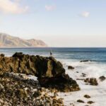 2004年大乐透开奖历史回顾与详细数据汇总 ejw8j49tj4