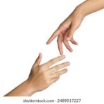 2005028期双色球开奖号码及结果查询 pp3gbxi