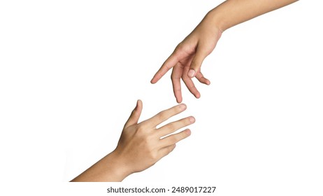 2005028期双色球开奖号码及结果查询 2005028期双色球开奖号码及结果查询