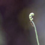 2006年3d开奖号码完整历史记录查询 r850v