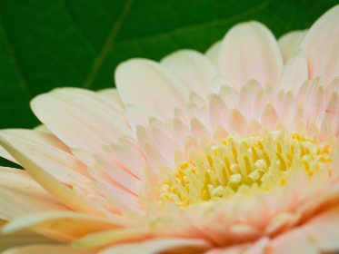 20063期足球胜负彩开奖结果正式公布 20063期足球胜负彩开奖结果正式公布