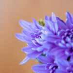 20073期足彩开奖结果揭晓:大奖花落谁家? v1ke9