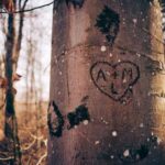 2007008期彩票开奖结果正式公布 wr5mvl