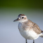 3D开奖号开机号排五开奖最新结果实时更新 zkhvm9plq